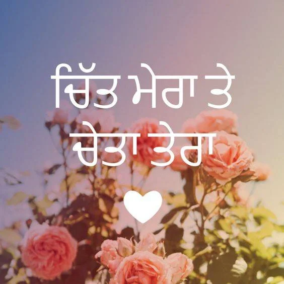 40+ Punjabi Caption For Instagram English 2 Punjabi-Caption