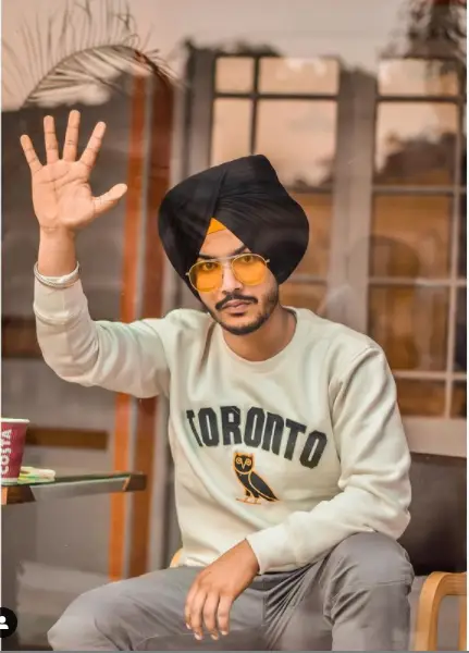 21 Best Punjabi YouTubers Channel Names Based On Fame 6 Bir Ramgarhia