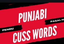 8 Punjabi Cuss Words Won’t Speak Openly Punjabi Cuss Words