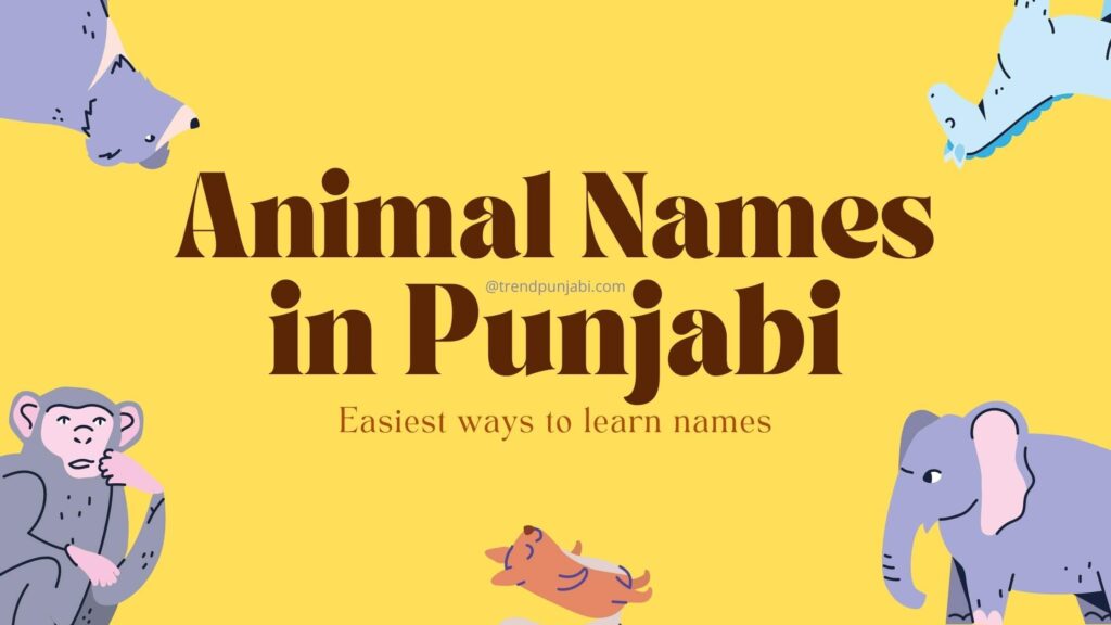 Animal Names in Punjabi & English | ਜਾਨਵਰਾਂ ਦੇ ਨਾਮ ਪੰਜਾਬੀ ਵਿੱਚ 1 animal names in punjabi