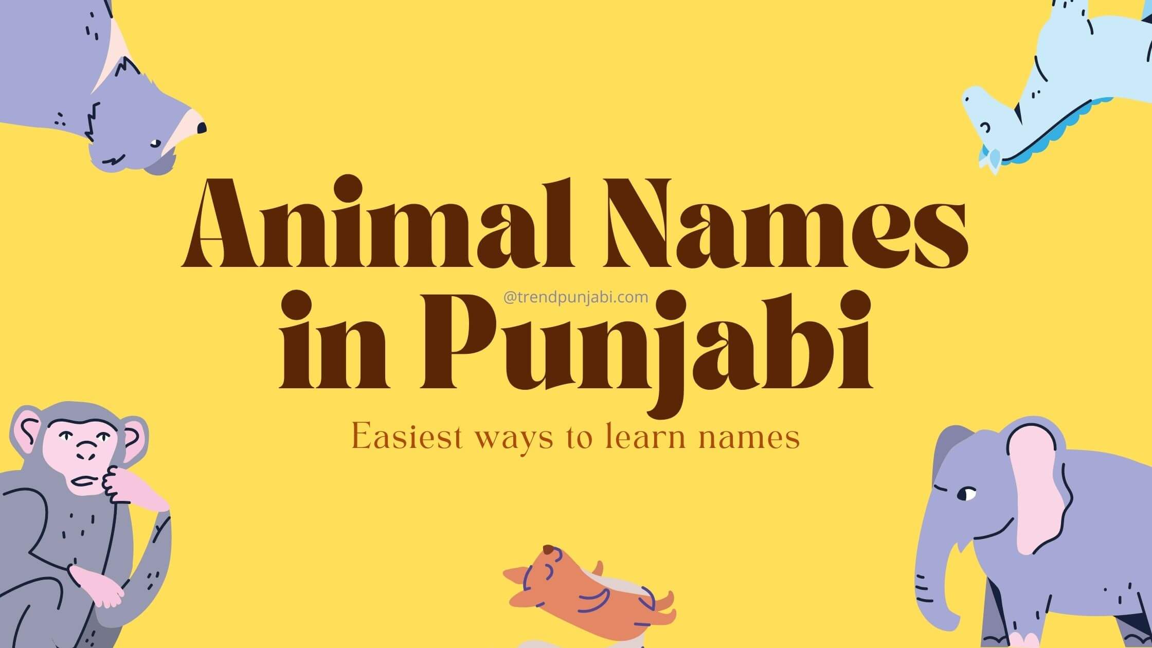 100+ Animal Names in Punjabi & English | ਜਾਨਵਰਾਂ ਦੇ ਨਾਮ ਪੰਜਾਬੀ ਵਿੱਚ 100+ Animal Names in Punjabi & English | ਜਾਨਵਰਾਂ ਦੇ ਨਾਮ ਪੰਜਾਬੀ ਵਿੱਚ
