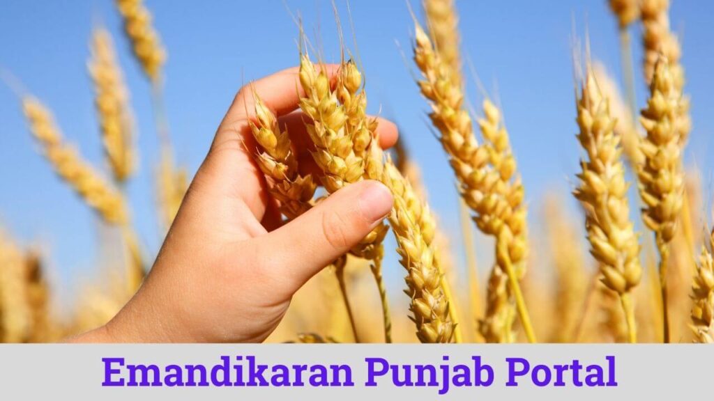Emandikaran Punjab | J Form download Punjab & Registration & Login emandikaran-pb.in 1 Emandikaran Punjab