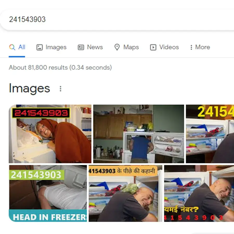 freedge number google