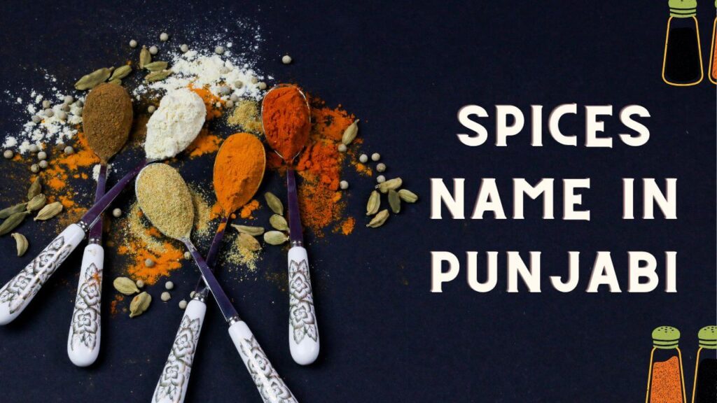 Spices Name in Punjabi - English | ਮਸਾਲੇ ਦਾ ਨਾਮ ਪੰਜਾਬੀ ਵਿੱਚ | Name Of Spices List 1 Spices Name in Punjabi