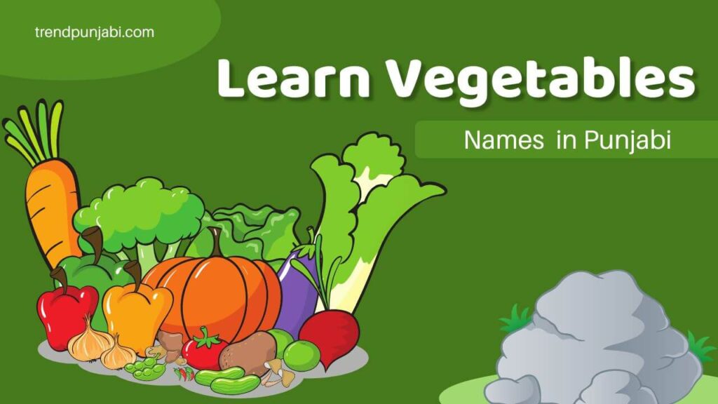 Vegetable names in punjabi