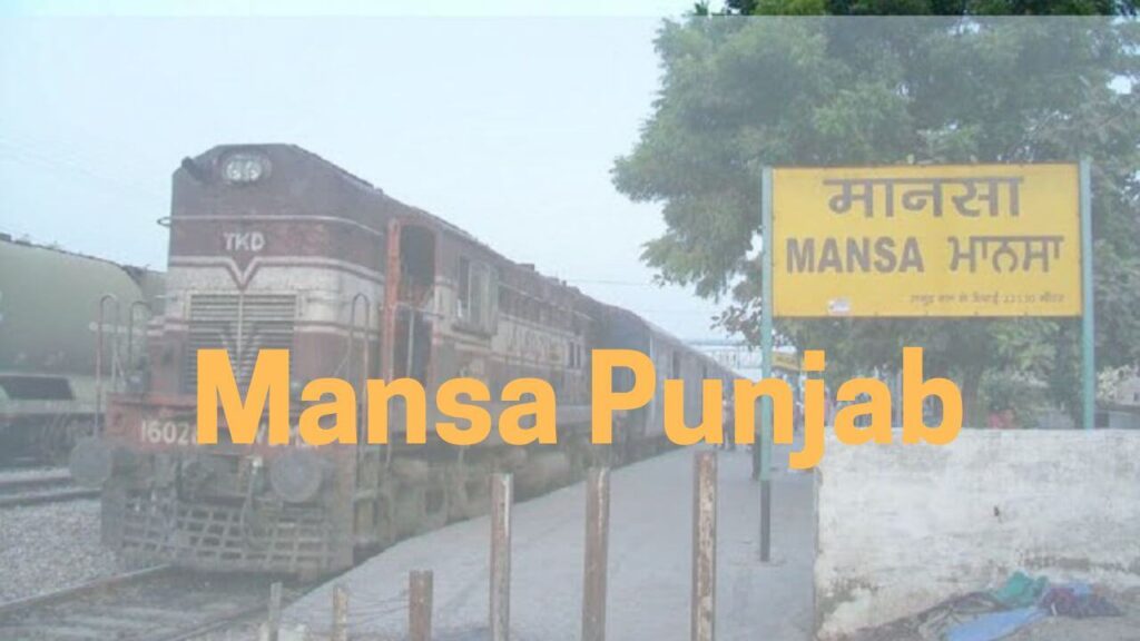 Mansa Punjab 1 Mansa Punjab
