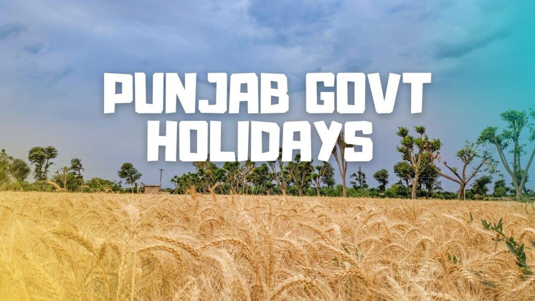 Punjab Govt Holidays 2023 Punjab Holiday List 2023