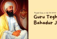 Punjabi Essay on Guru Tegh Bahadur Ji | ਗੁਰੂ ਤੇਗ ਬਹਾਦਰ ਜੀ ਲੇਖ Essay on Guru Tegh Bahadur
